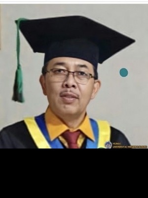 Prof. Dr. Indang Dewata, M.Si